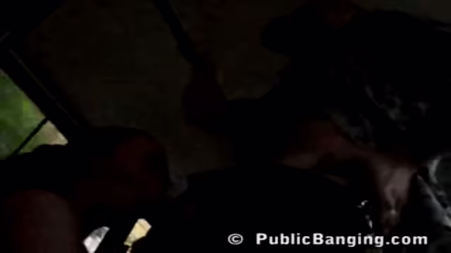 Sexy babe does a blowjob in a filled bus